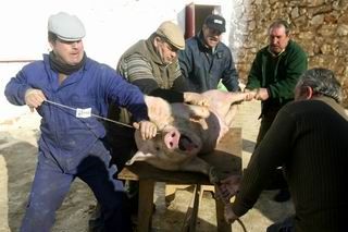 Los hombres sujetan al cerdo, antes de darle muerte. RUBÃ‰N SERRALLÃ‰